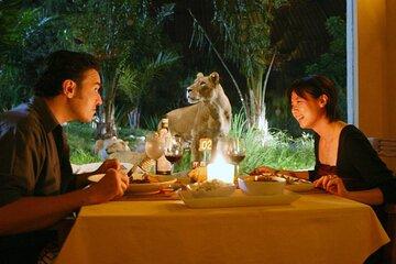 2 Day Private Tour in Tsavo East National Park Safari
