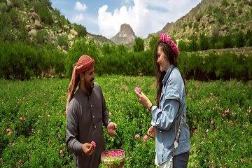 Tour from Jeddah to Taif Explore the City of Roses
