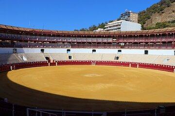 Tour of Malaga Bullring & Bullfighting Museum with Audioguide