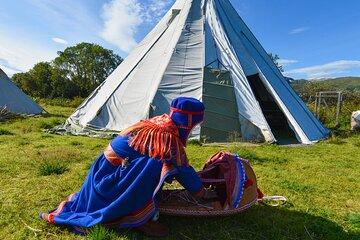 Reindeer Feeding and Sami Culture - Summer tour