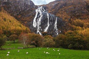 Private Scenic Photo Tour of the Beara Peninsula