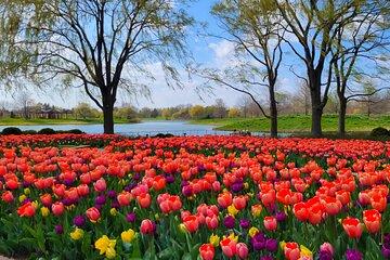 Chicago Hidden Gems! Suburbs Tour