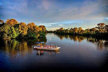 Klias Mangrove Wildlife and Fireflies