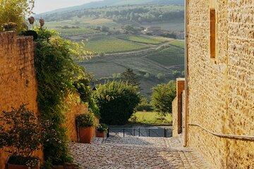 Private Sparkling Wine Tour with Tastings from Lyon