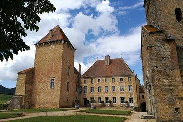 South Burgundy Private Day Tour with tasting from Lyon