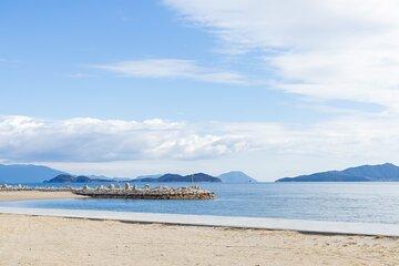Experience Local Japan Megi Island homemade lunch and Dogo