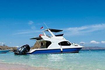 2 Days Group Speedboat Tour to See Komodo and Sunset Tour