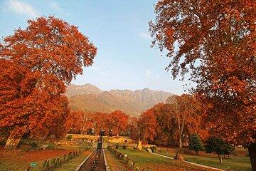 Kashmir The Paradise on Earth Tour 4 Days and 3 Nights