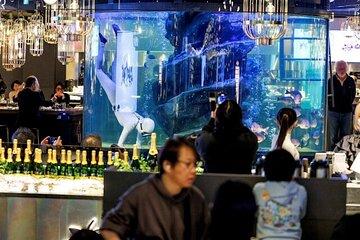 Tokyo Ama Diving Fishing and One Person Hot Pot Experience