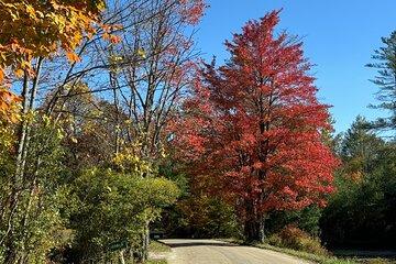 Signature Vermont Wayfinders Private Guided Tour