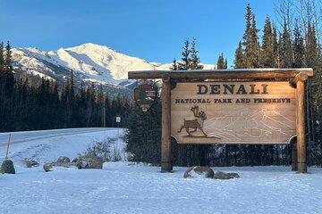 Denali Winter Sightseeing and Trail Walk