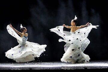 Private Night Tour to Enjoy Dynamic Yunnan Show