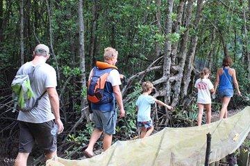 Vam Sat Private Eco-Adventure in the Mangroves