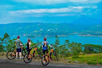 Tea Loops E-Biking