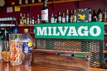 Bariloche: Vermouth, Whiskey and Gin Distilleries with Lunch