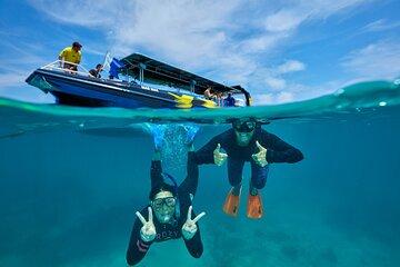 Cairns Snorkel Tour - Mid Morning Departure