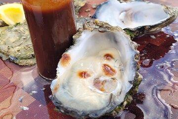 Oyster Adventure in Coffin Bay