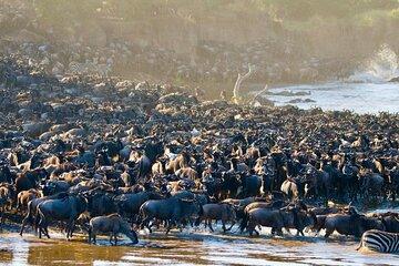 3Days Luxury Safari in Tanzania Iconic National Parks