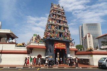 Singapore Highlights Tour Explore Iconic Places by Car and Walk