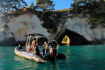Explore the Marine Life with Cathedral Cove Snorkeling Tour