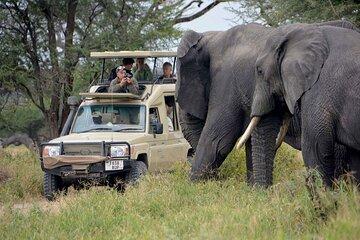 Explore Nairobi Kenya's Wild 9 Days