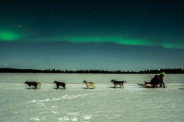 Aurora Borealis Dogsled Tour