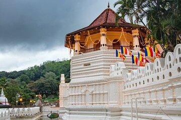 Kandy Private Day Tour from Trincomalee