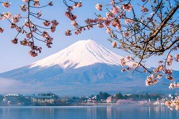 Tokyo Mt Fuji Trip with Kawaguchiko Ropeway and Matcha Tea
