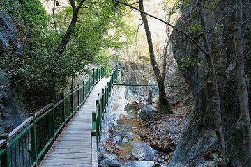 Nature & Beauty of Troodos Mountain in Private Tour from Limassol