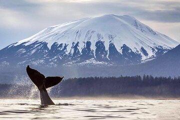 Captain Gary's Sitka Whale Watching and Marine Wildlife Tour