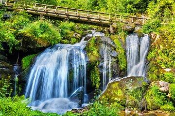 Zurich Black Forest Private Tour