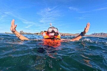 Snorkel or Sunset in La Paz aboard a 42 feet Yacht