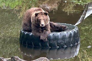 Sitka Scenic Private Tour