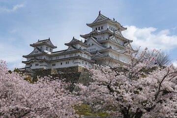 Kobe and Himeji Private Tour From Osaka