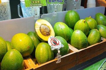 Amazing Taipei Night Markets：10 Kinds of Street Food Tasting