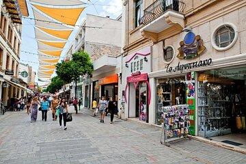 Larnaca and Nicosia North Cyprus Private Tour from Limassol