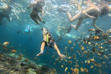 Private Bali Horse Ride and Snorkeling with Lunch