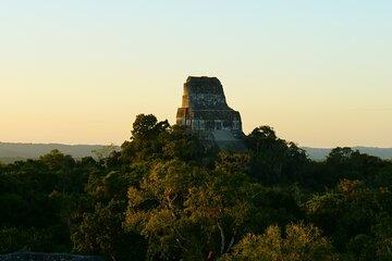 Tikal Half Day Group Tour