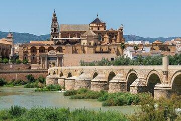 Cordoba Private Tour from Malaga and Costa del Sol