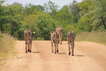 Overnight Group Joining Tour to Tsavo East from Kilindini Harbour