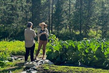 Palmer Farm Tour