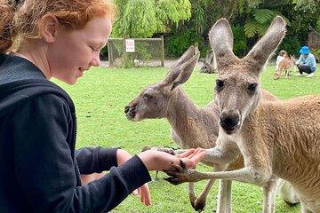 Bespoke Perth City and Surrounds Day Tour