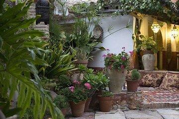 Visit Moorish Tea with Tea and Pastas in Van Grupos Reducados