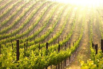 Culinary and Cultural Exploration of Kefalonia