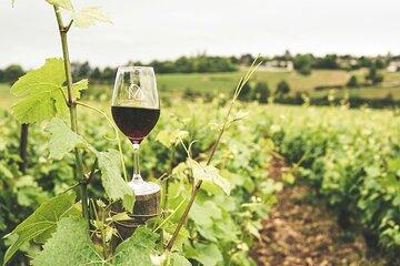 Exclusive Half-Day Wine Cultural Tour in Kefalonia