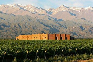 Shared Uco Valley Gourmet Wine Tour