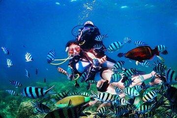 Nha Trang Scuba Diving Tour 2 Dives and Lunch Included
