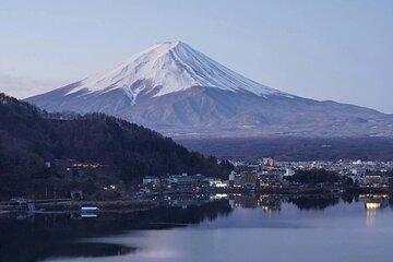 Mt Fuji and Hakone Private Full Day Tour
