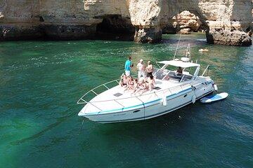 Portimao Dolphin Watching Private Activity