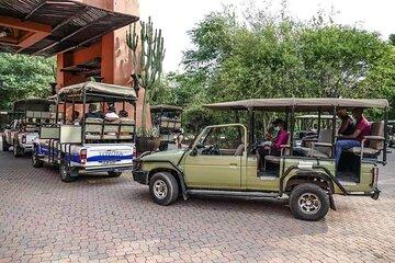 Game Drive and Short Rhino Walking Safari